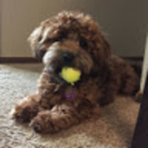 Meet your Posher, Katelyn